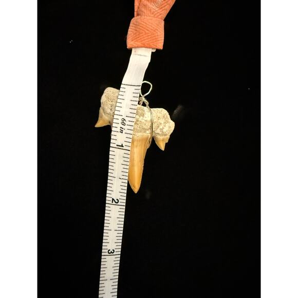 Fossilized Shark Tooth Pendant with silver tone wire wrap 1.25” New - Picture 4 of 4